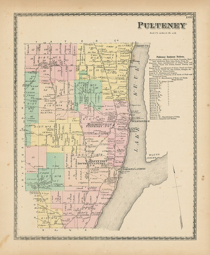 PULTENEY New York 1873 Map Replica or Genuine ORIGINAL Etsy
