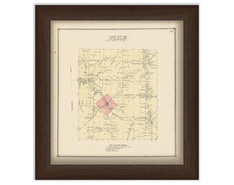 Town of PIKE, Wyoming County, New York 1866 Map