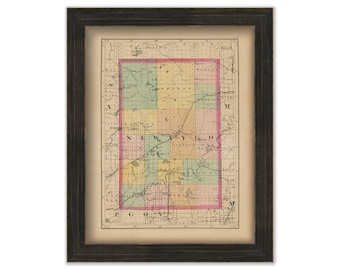 NEWAYGO COUNTY, Michigan 1873 Map - Replica or Genuine Original