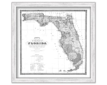 STATE of FLORIDA  -  1870 Map