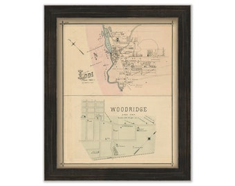 Woodridge and Lodi, New Jersey 1876 - Replica or GENUINE ORIGINAL