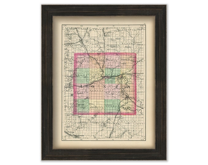 IONIA COUNTY, Michigan 1873 Map - Replica or Genuine Original