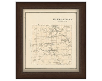 Town of GAINESVILLE, Wyoming County, New York 1866 Map