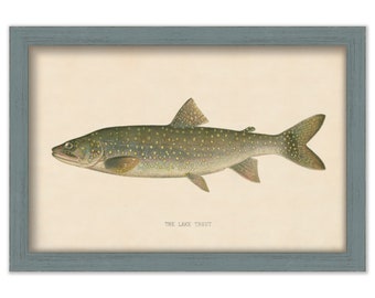 LAKE TROUT PRINT by S. F. Denton