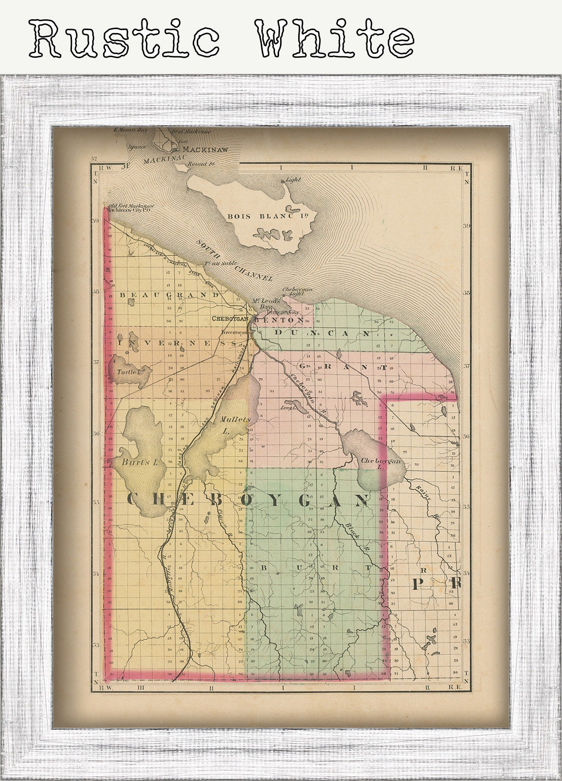 CHEBOYGAN COUNTY, Michigan 1873 Map - Replica or Genuine ORIGINAL