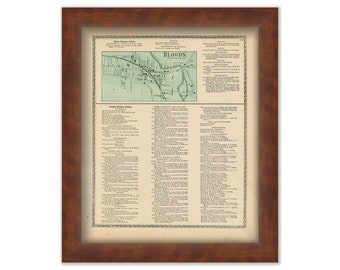 COHOCTON, New York 1873 Map, Replica or Genuine ORIGINAL