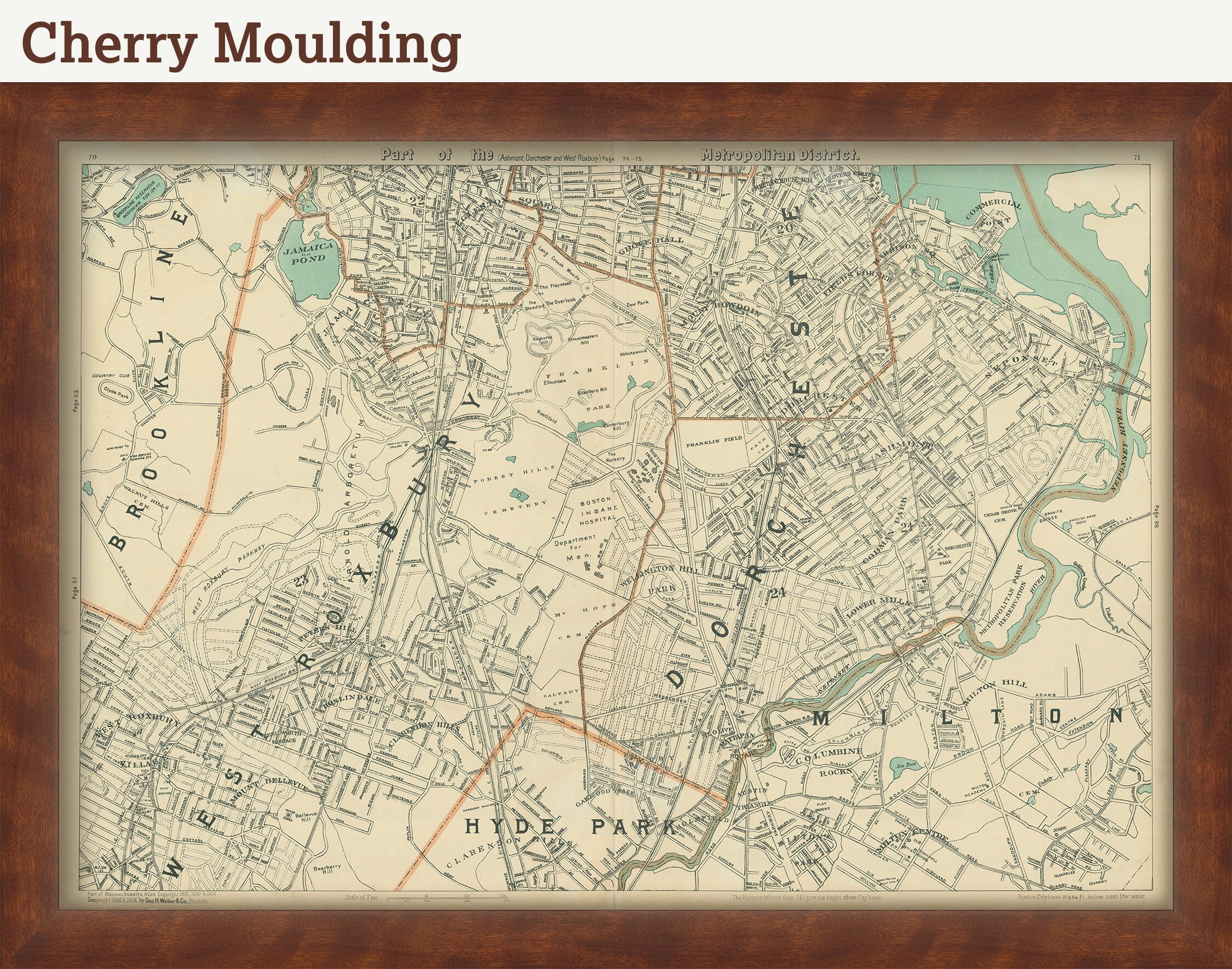 DORCHESTER Massachusetts and the Surrounding Area 1904 - Etsy