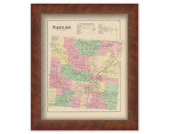 NAPLES, Ontario County, New York 1874 Map