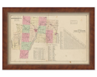 ONTARIO COUNTY, New York 1874 Map