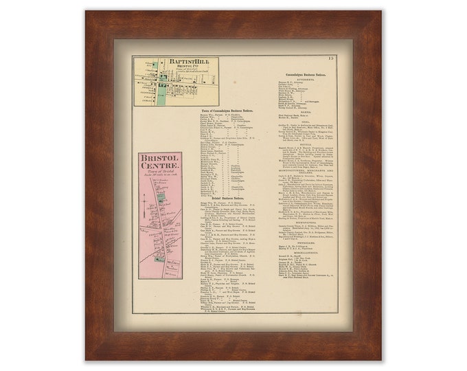 BRISTOL, Town Center, ONTARO COUNTY, New York 1874 Map