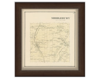 Town of MIDDLEBURY, Wyoming County, New York 1866 Map