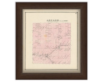 Town of ARCADE, Wyoming County, New York 1866 Map