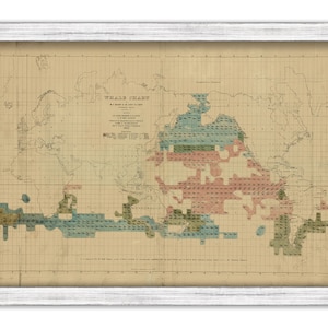 WHALE CHART  - Drawn by Matthew Fontaine Maury, Lieutenant U. S. Navy in 1851