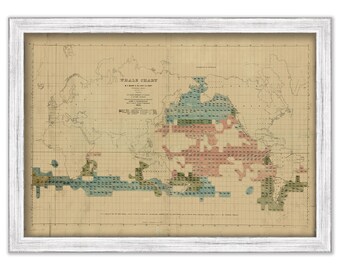 WHALE CHART  - Drawn by Matthew Fontaine Maury, Lieutenant U. S. Navy in 1851