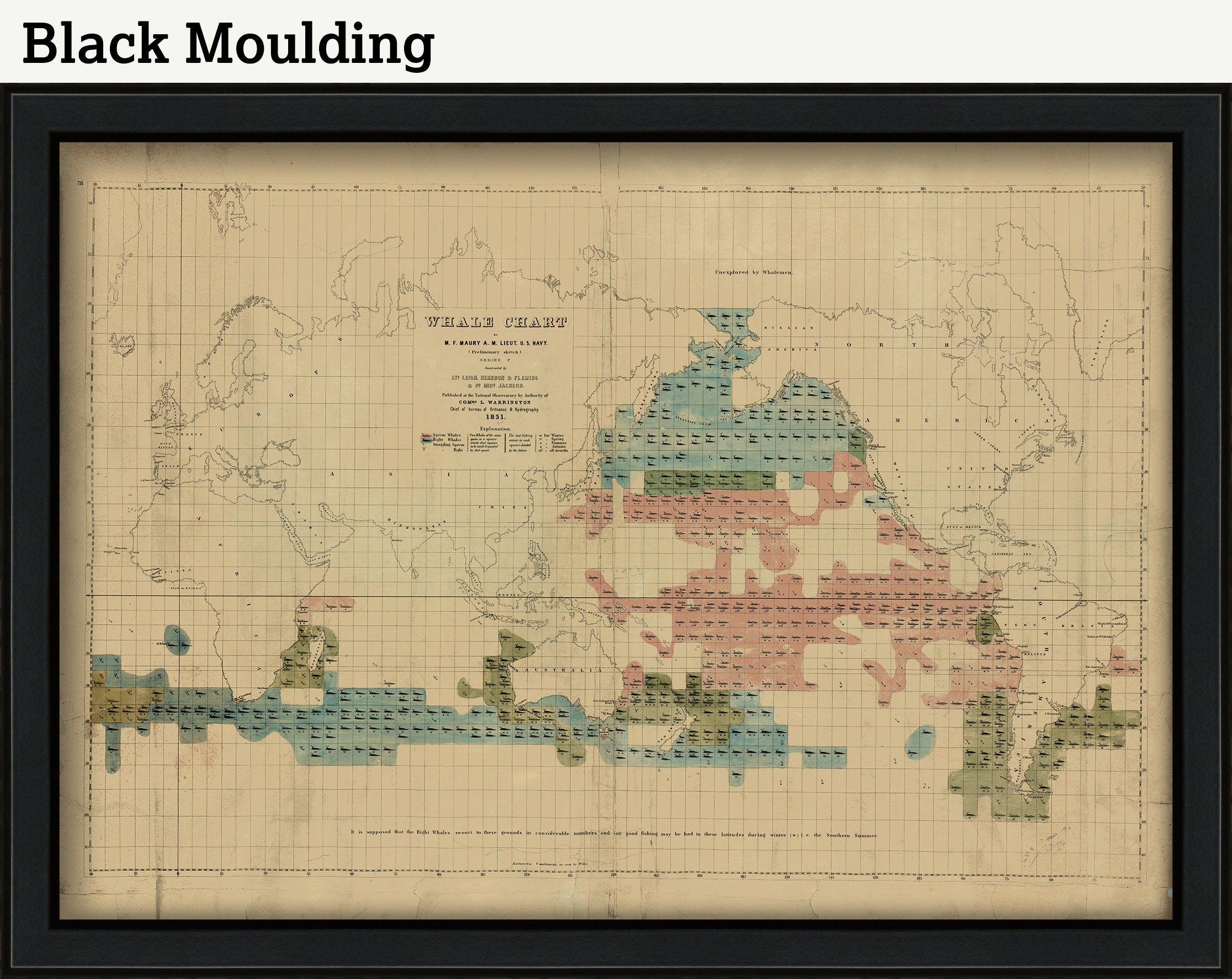 Whale Chart Drawn By Matthew Fontaine Maury Lieutenant U Etsy