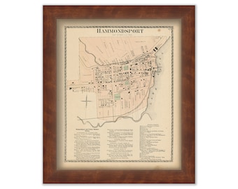 HAMMONDSPORT, New York 1873 Map, Replica or Genuine ORIGINAL