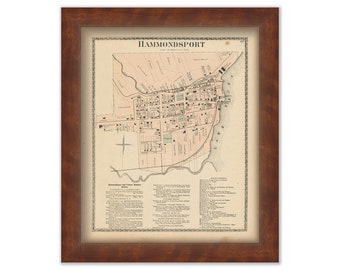 HAMMONDSPORT, New York 1873 Map, Replica or Genuine ORIGINAL