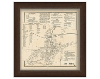 Village of LE ROY, Genesee County, New York 1866 Map