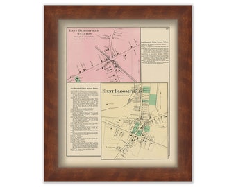 EAST BLOOMFIELD, The Village, Ontaro County, New York 1874 Map
