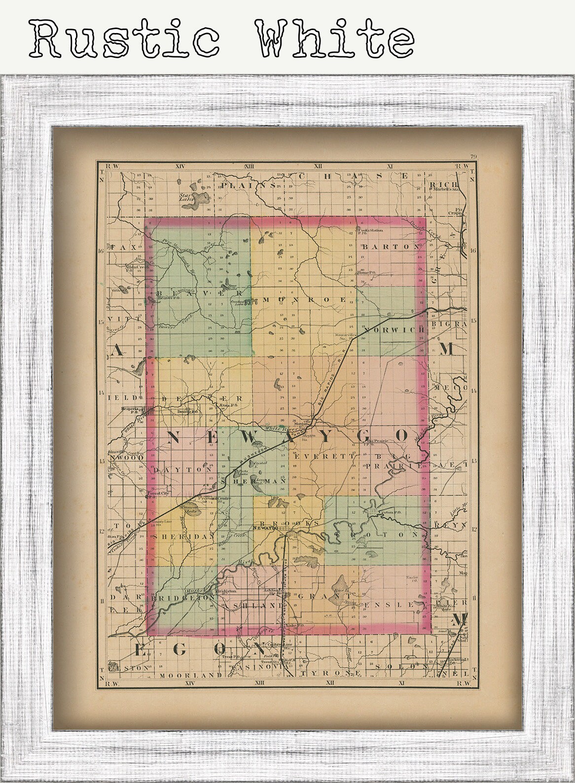 NEWAYGO COUNTY, Michigan 1873 Map Replica or Genuine Original