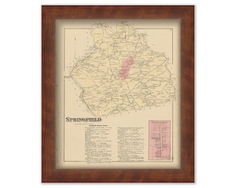 SPRINGFIELD, Pennsylvania 1876 Map - Replica or Genuine ORIGINAL