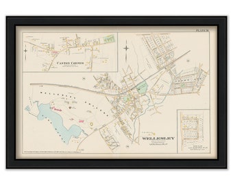 Wellesley College and Village, Massachusetts 1888 Map