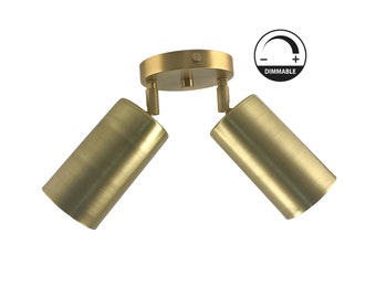 Modern Double Ceiling Spotlight: Brushed Brass Adjustable Fixture