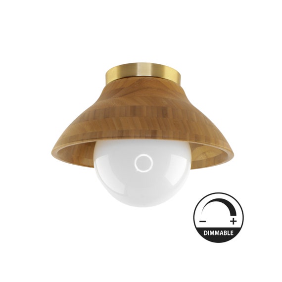 Brass foyer light online