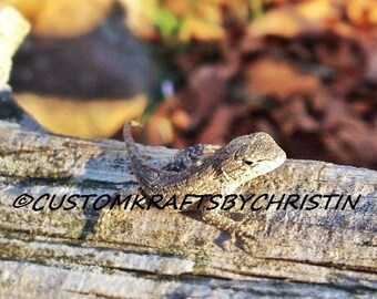 INSTANT DOWNLOAD! Little Lizard