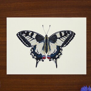 Schmetterling Illustration (Schwalbenschwanz) - Postkartengröße - A6, 15 x 5,8"