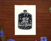 Item from this shop