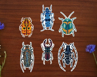 Beetles // Vinyl sticker pack