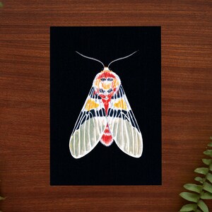 Moth illustration art print // carte postale taille - 4.1 » x 5.8 »