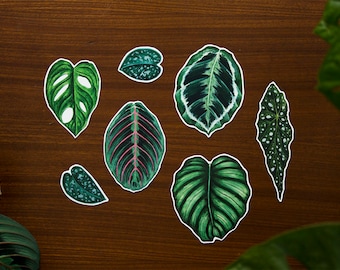 House plants // Vinyl sticker set