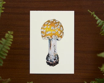 Yellow fly agaric mushroom illustration art print // Postcard sized - A6, 4.1" x 5.8"