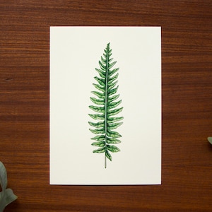 Illustration de fougère // Taille de carte postale - A6, 4.1" x 5.8"