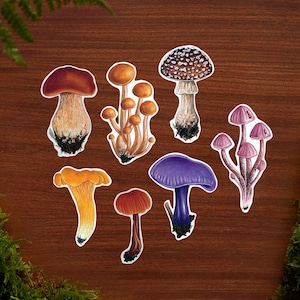 Paddestoelen // Vinylstickerpakket