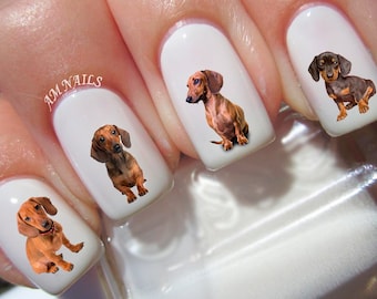 47 Dachshund Nail Decals - A1298