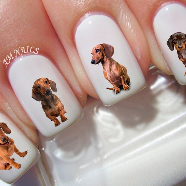 47 Dachshund Nail Decals - A1298