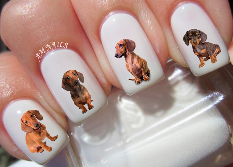 47 Dachshund Nail Decals Etsy