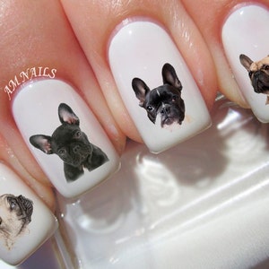 54 French Bulldog Nail Decals - A1294