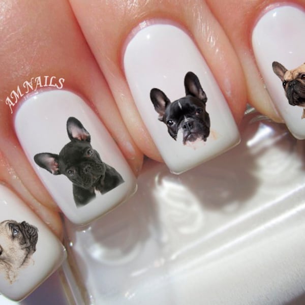 54 Français Bulldog Nail Decals - A1294