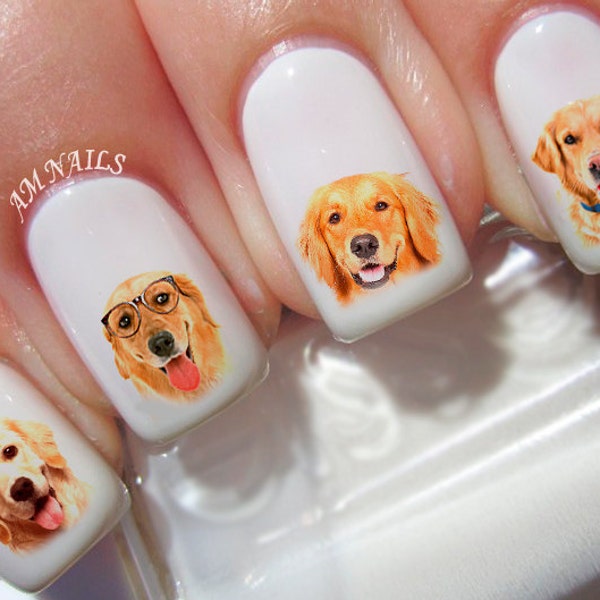 60 décalcomanies pour ongles Golden Retriever - A1292