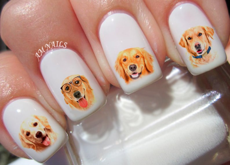 May include: Four fingernails with golden retriever dog nail art decals. The dogs are wearing glasses, a collar, and have different expressions.