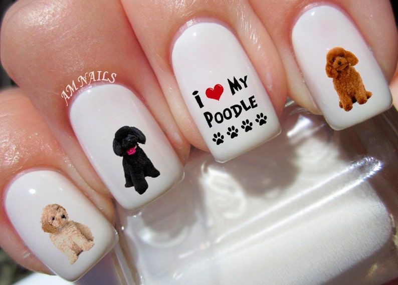 White Poodle with Diverse Nail Colors - wide 9