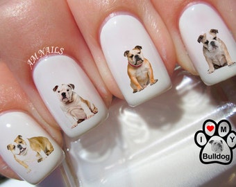 58 English Bulldog Nail Decals - A1297