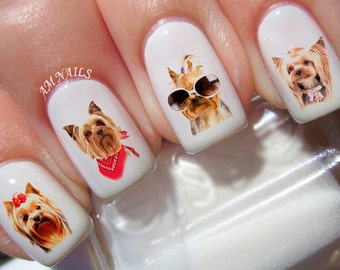 50 Yorkshire Terrier Nail Decals
