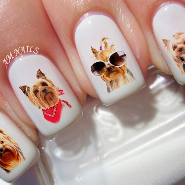 50 autocollants d’ongles Yorkshire Terrier - A1295