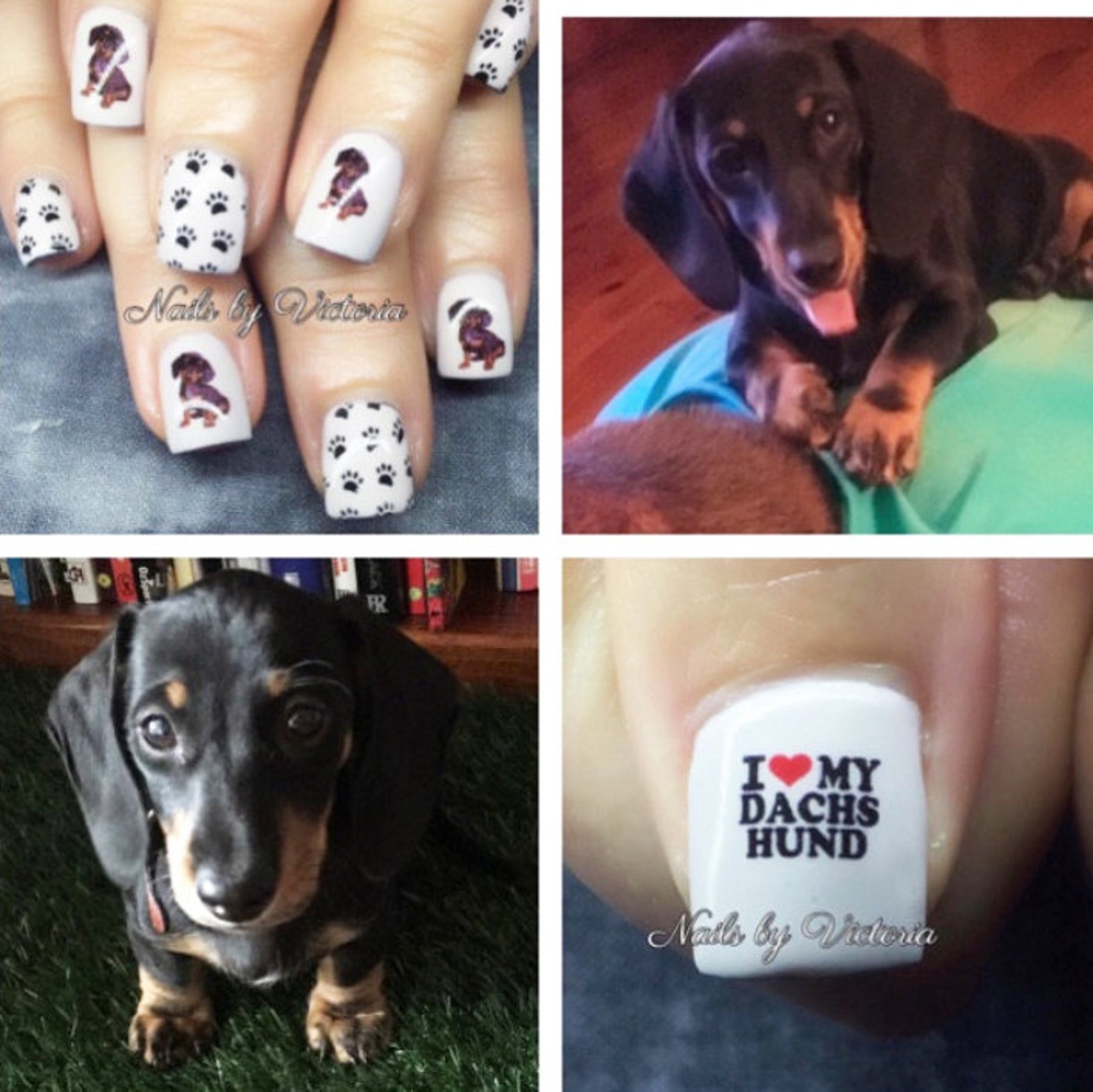 47 Dachshund Nail Decals Etsy