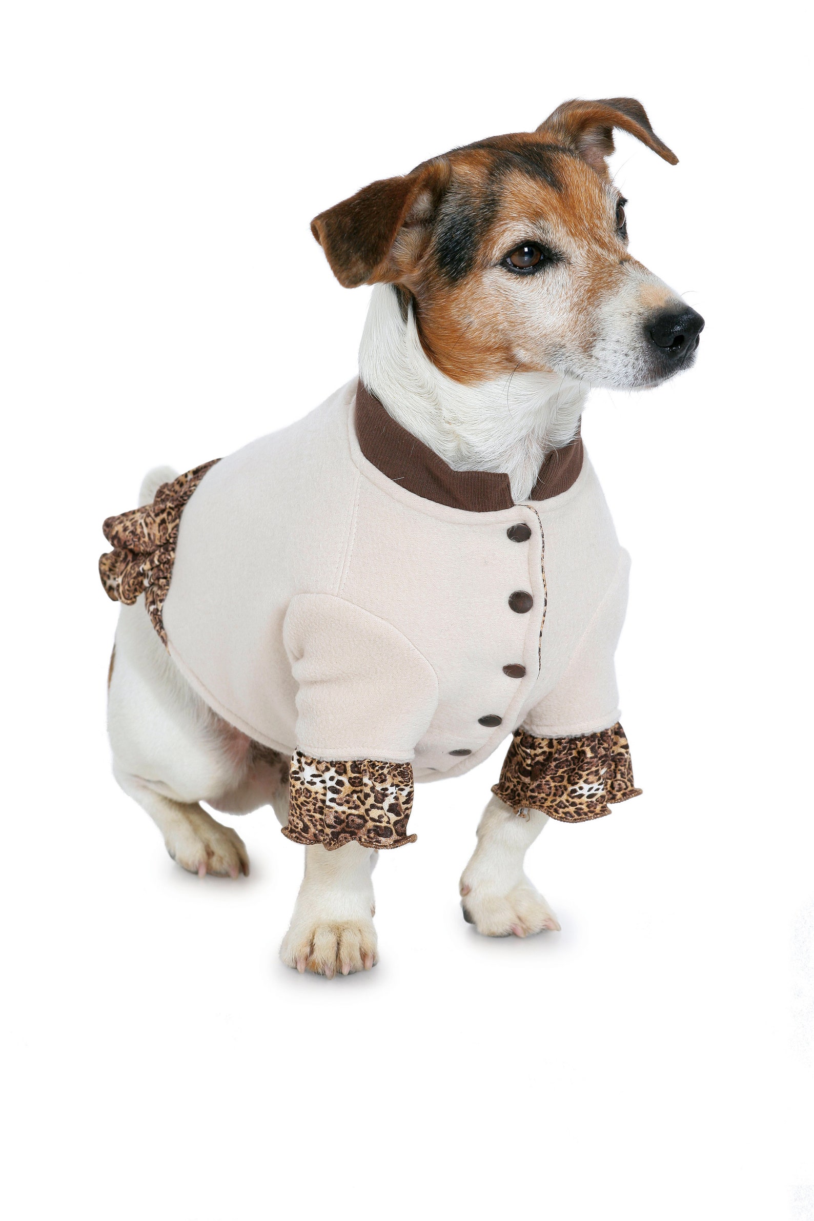 Burda Sewing Pattern Coat Dog Coat Dog Cloak Dog Cape Etsy